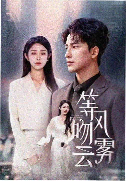 世界影视 C 架《雨季检票员》剧集封套